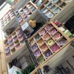 Cosy Aromas