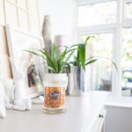 cosy aromas