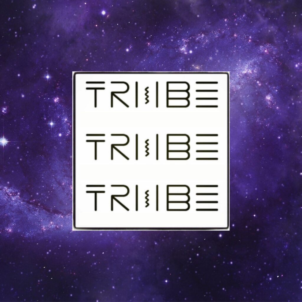 tribe ibiza festival party